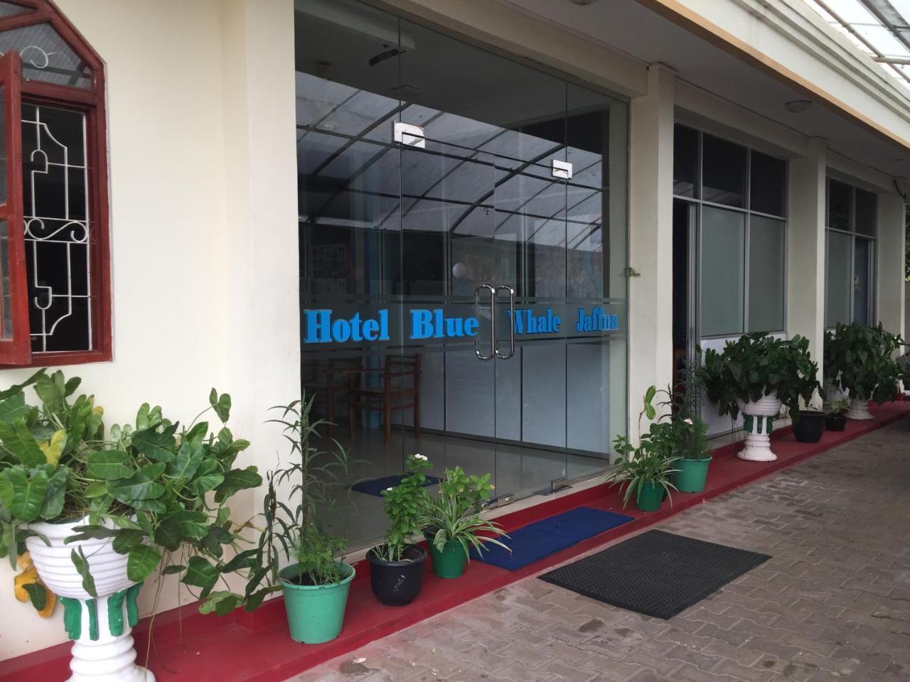 Hotel Blue Whale Τζάφνα Εξωτερικό φωτογραφία