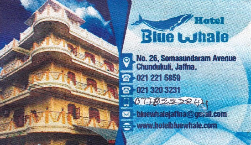 Hotel Blue Whale Τζάφνα Εξωτερικό φωτογραφία